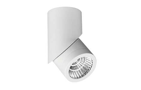 Cusp Adjustable Ceiling Mounted