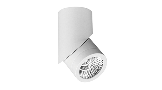 Cusp Adjustable Ceiling Mounted
