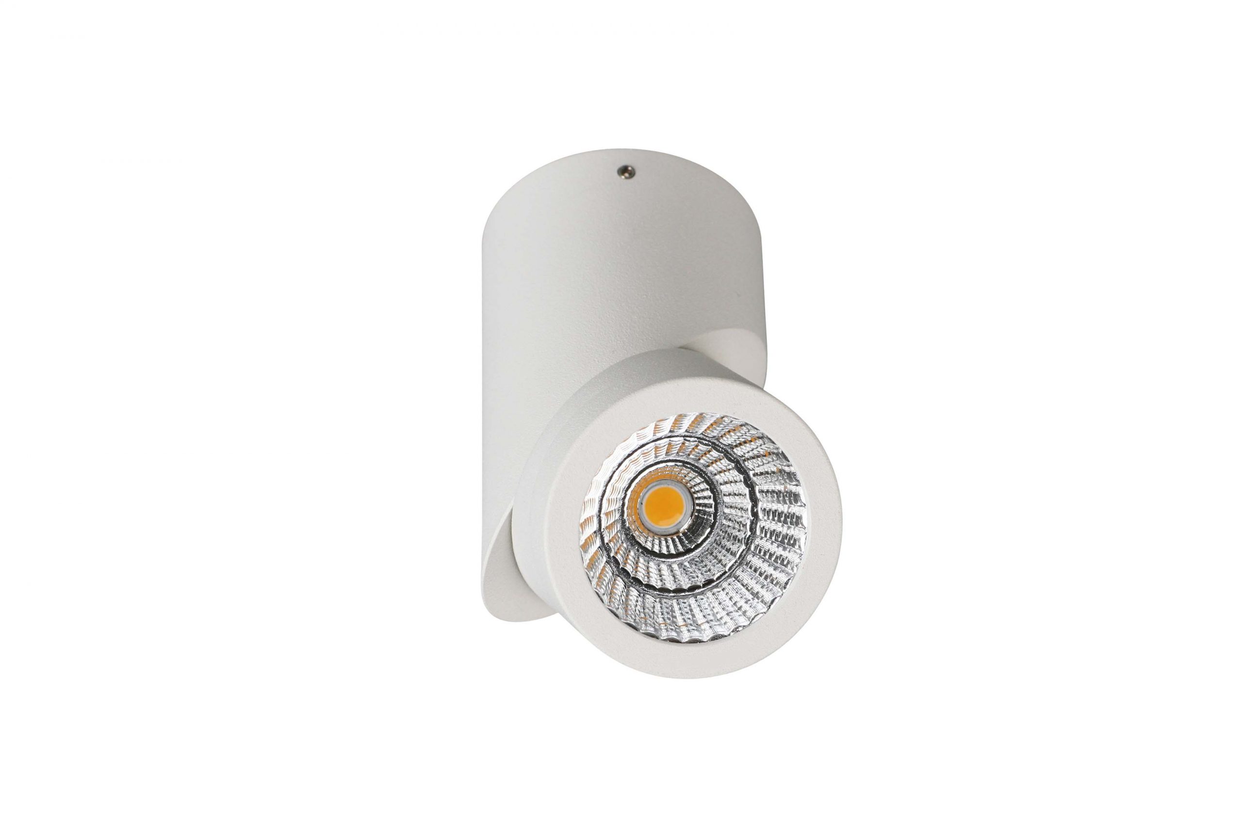 Cusp Adjustable Ceiling Mounted - Image 3