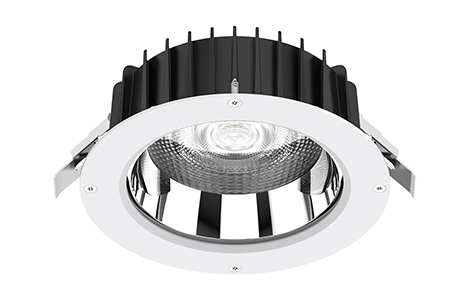 DL84 Anti-Theft / Hospital / Tamper Proof LED Downlight IP65